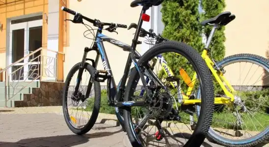 Zakarpatskiy Oazis - 14