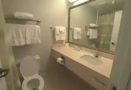 SpringHill Suites Houston Medical Center/NRG Park - 7