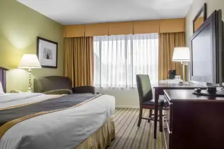 Quality Inn - 40