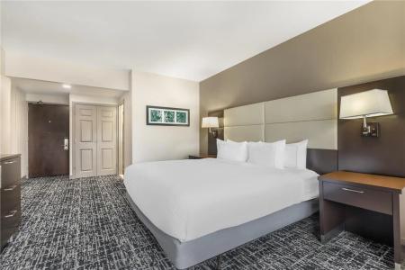DoubleTree by Hilton Williamsburg - 53