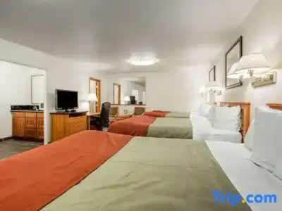 Rodeway Inn Newport - 28