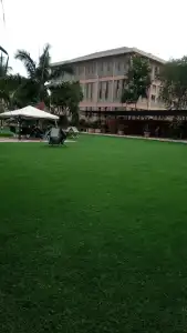 Lush Garden - 25