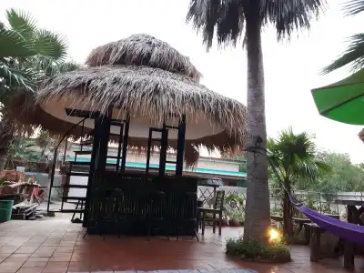 Palm Sweet - 17
