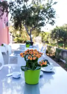 Miss Sicily B&B - 24