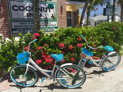 Coconut Inn - 21