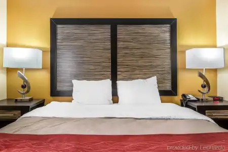 Quality Inn & Suites Montgomery East Carmichael Rd - 6