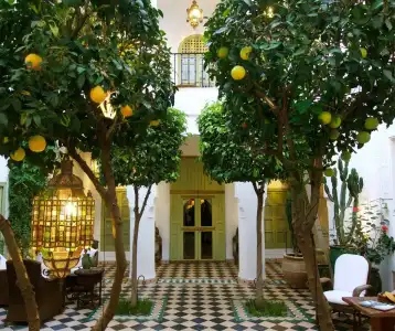 Riad Camilia - 14