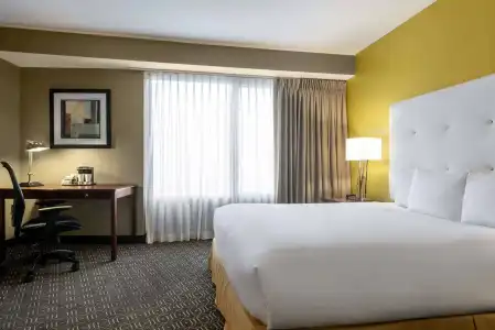Wyndham Springfield City Centre - 4