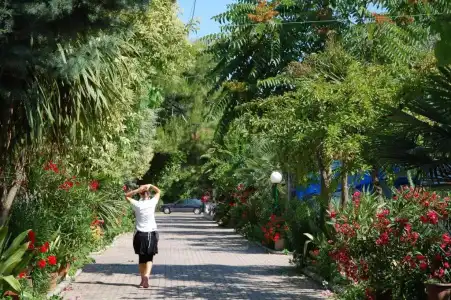 Camping Terrazzo Sul Mare - 20
