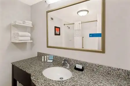 Hampton Inn Atlanta-Georgia Tech-Downtown - 73