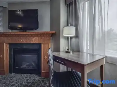 Monte Carlo Inn Toronto - Markham - 54