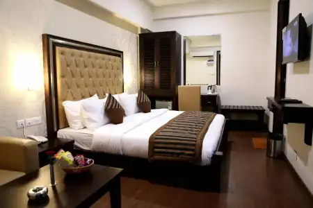 THE RAJ VILAS - 2