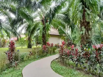 Khao Sok Palm Garden Resort - 52