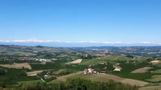 Villa Bellavista Alba - 82