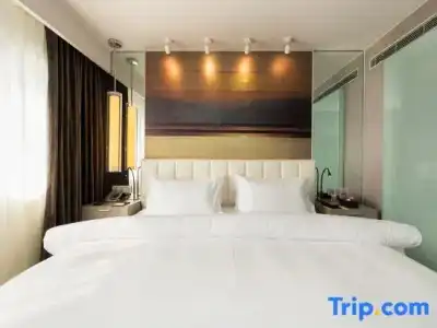 Jinjiang Metropolo Hua Ting Guest House - 102