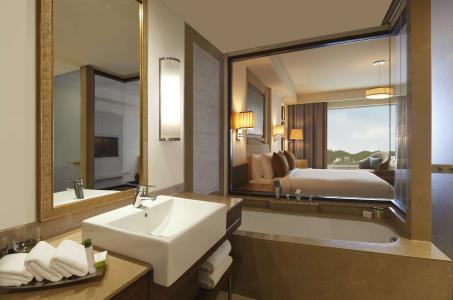 DoubleTree by Hilton Agra - 4