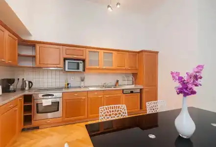 Slovansky Dum Boutique Apartments - 13