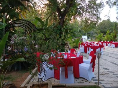 Lucky Beach Resort - 4