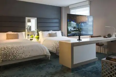 Renaissance Albany - 22