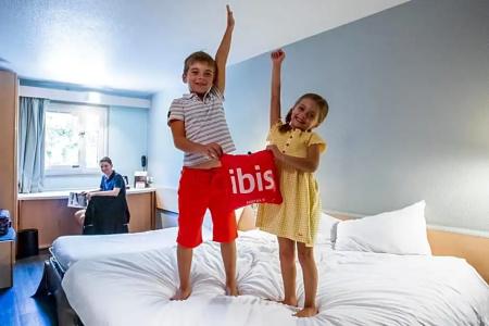 ibis Bourges - 45
