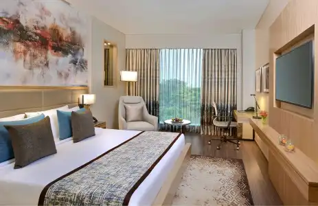 Radisson Mumbai Andheri MIDC - 24