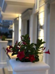 Poda Boutique - 8