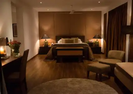 The Mangrove - 1