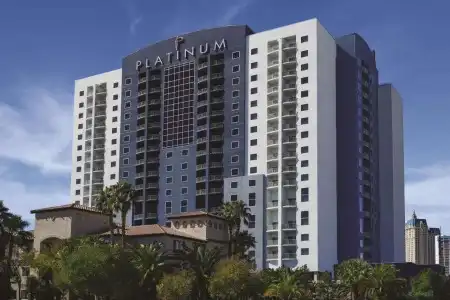 The Platinum - 0