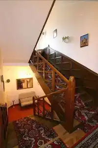 Pawlovnia - 9