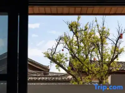 Lijiang Yunwa Inn - 86