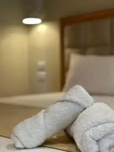 Arial Penthouse Suites - 107