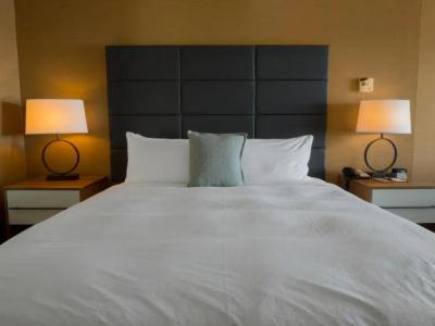 DoubleTree by Hilton Niagara Falls New York - 48