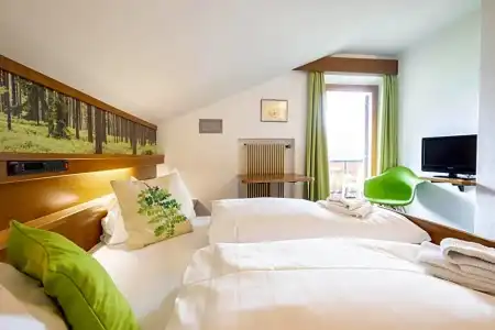 Guesthouse Pension Grafenstein - 21