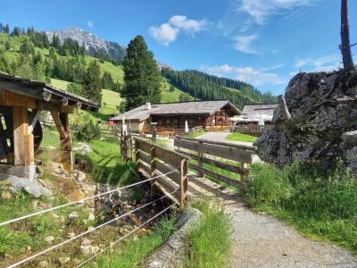 Sonnfeld - 15