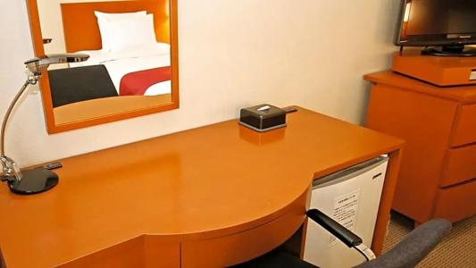 Holiday Inn ANA Sendai by IHG - 166