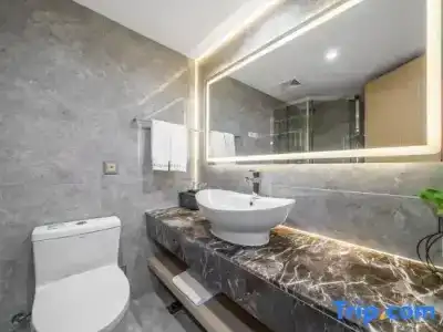 Hangzhou Lingyin Maison New Century Grand - 18