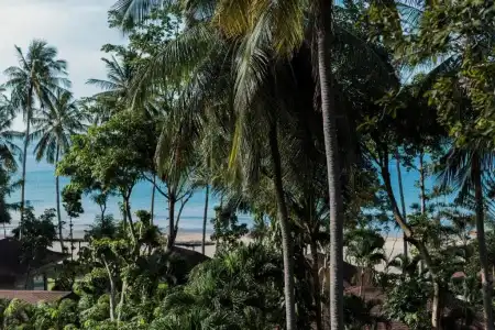 Anda Lanta Resort-Th4 - 159
