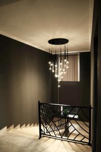 Colette - 14
