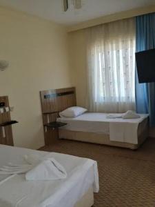 Lion Didim - 5