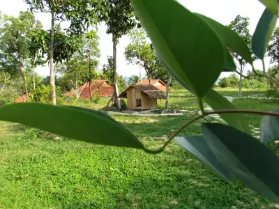 Mango Beach Resort - 19