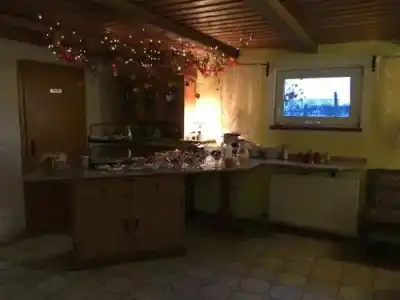 Pension Hubertushof Freiberg - 12