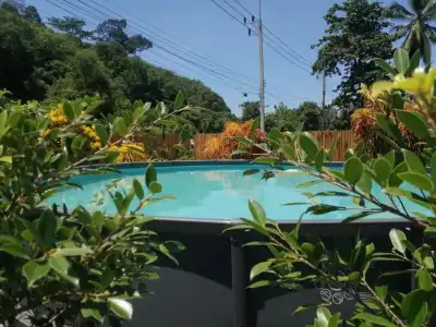 Bed & Breakfast To-Co - 46