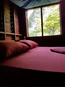 Phanom Bencha Mountain Resort - 27