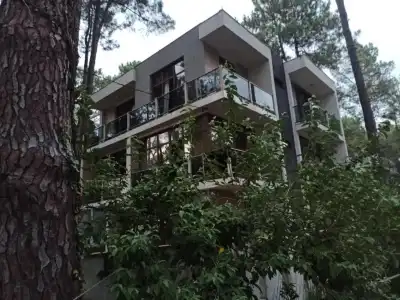 kaprovani Kako - 6