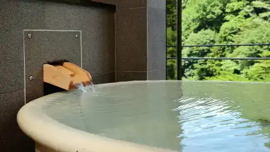 Arima Onsen Gekkoen Korokan - 16