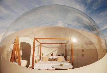 Green Land Bubble Glamping - 43