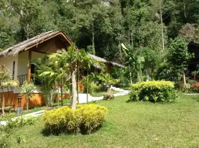 Vipa Tropical Resort - 63