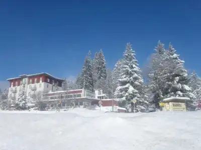 Das Wald- Genuss & Wellness am Notschreipass - 15