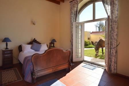Quinta do Scoto - 23