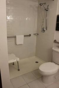 Crowne Plaza CHICAGO WEST LOOP by IHG - 44